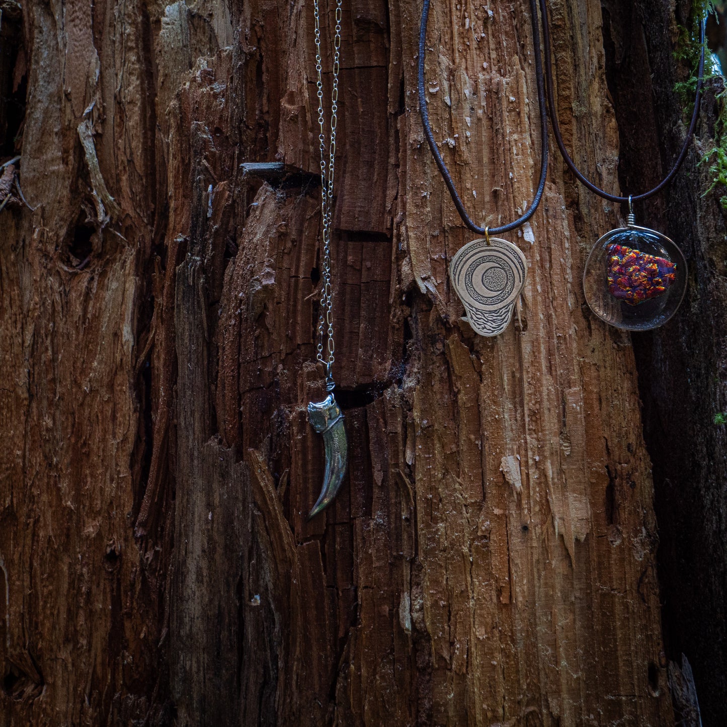 three necklaces - the badger claw, the ember glass, and the pregnancy charm - rest against the bark.