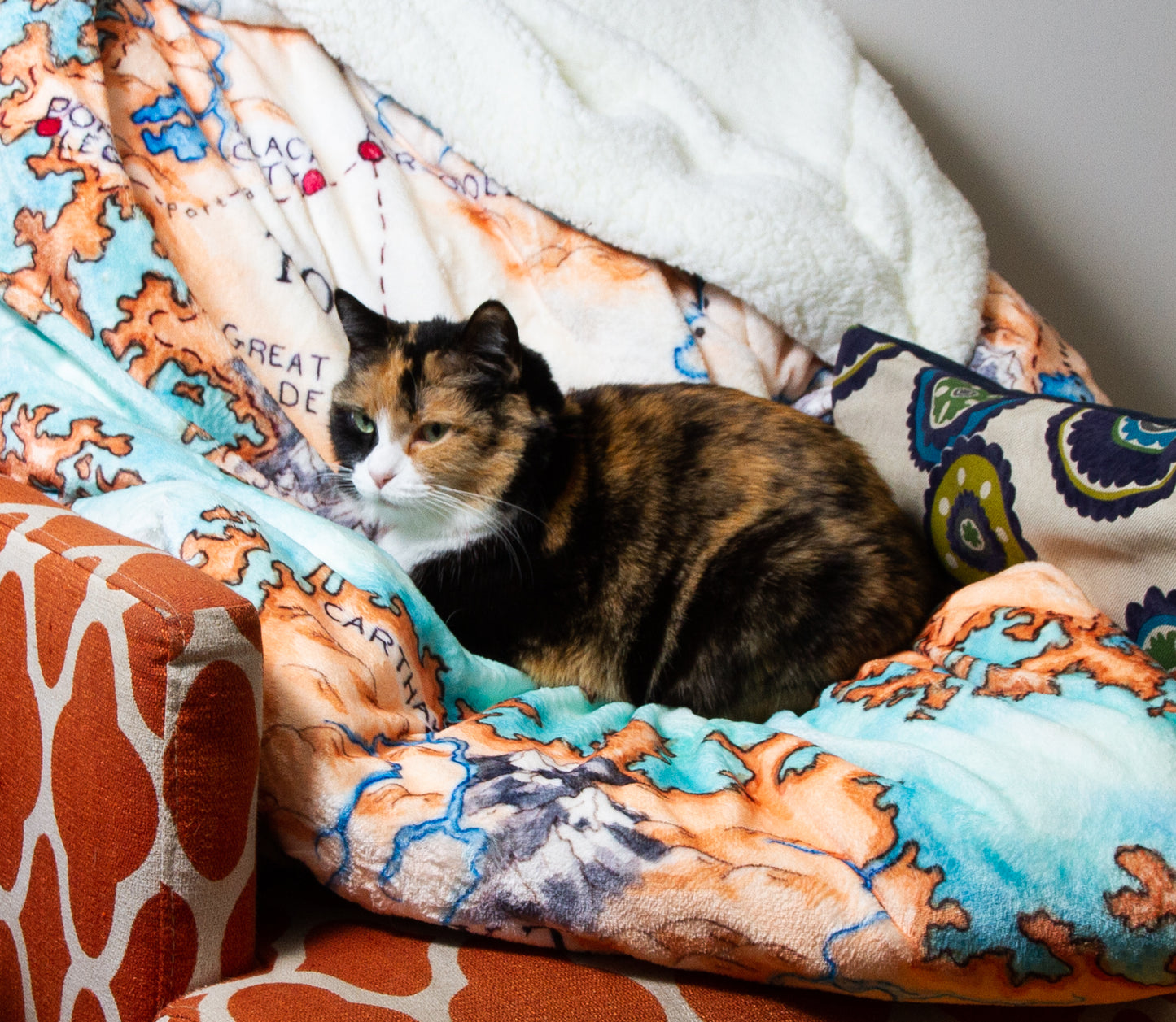 Close-up of the Tortall blanket draped over a chair. The illustration is obscurred by a very good calico cat taking a nap.