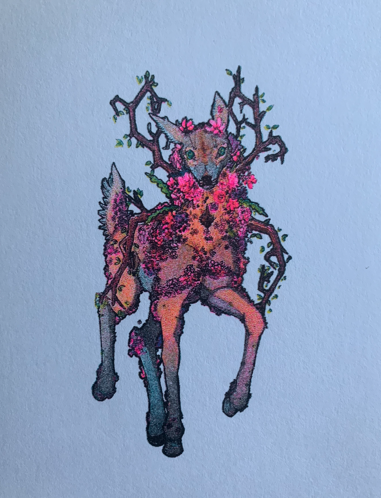 Closeup of Deer Print on white paper.