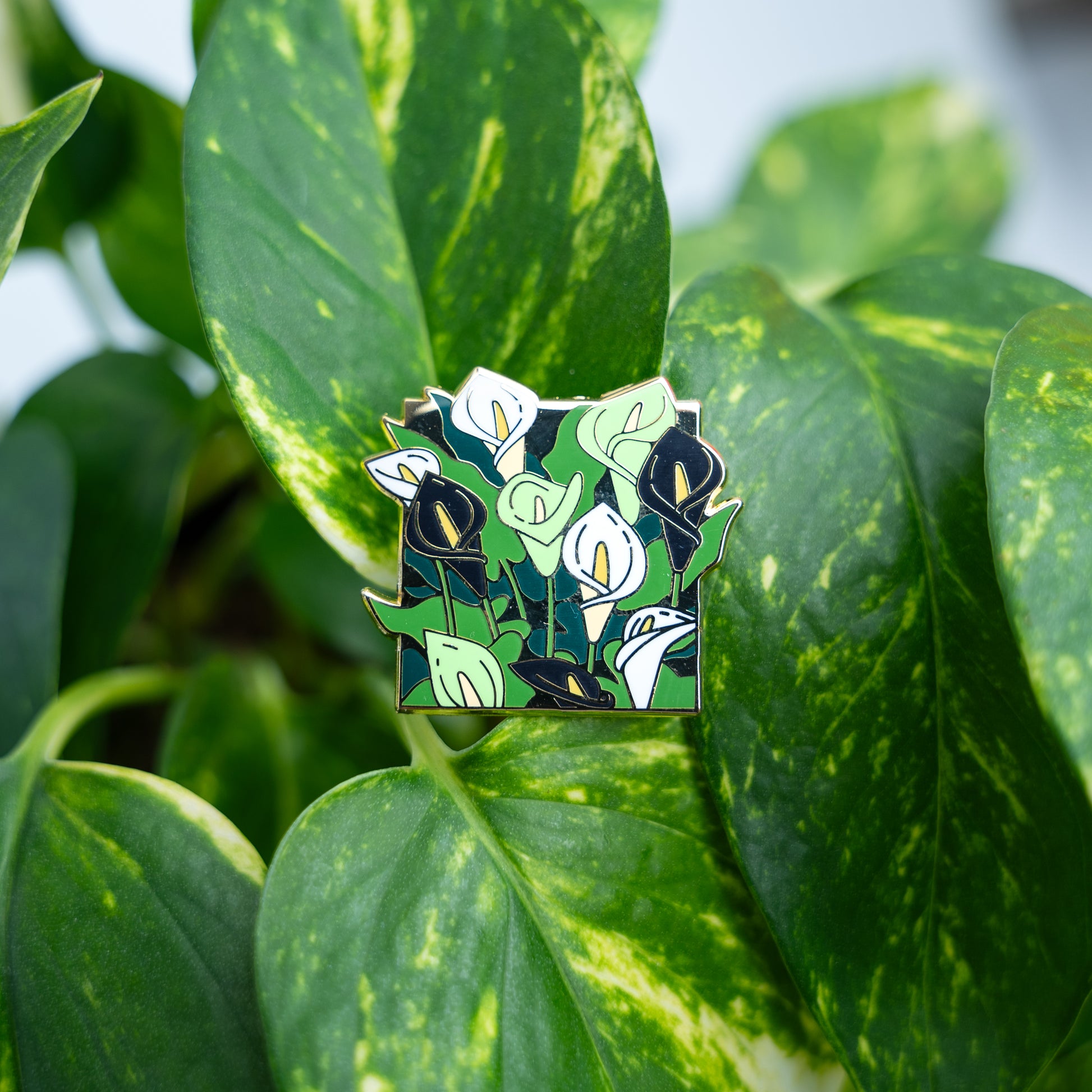 A lifestyle photo  of the Agender Calla Lilies pin resting on green marbled pothos leaves.