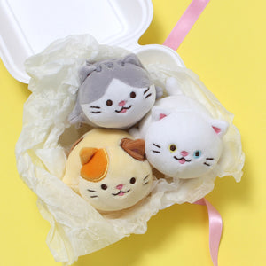 The whole cat trio: Mackerel, Odd, and Cheese, together in a styrofoam takeout container on a yellow background.