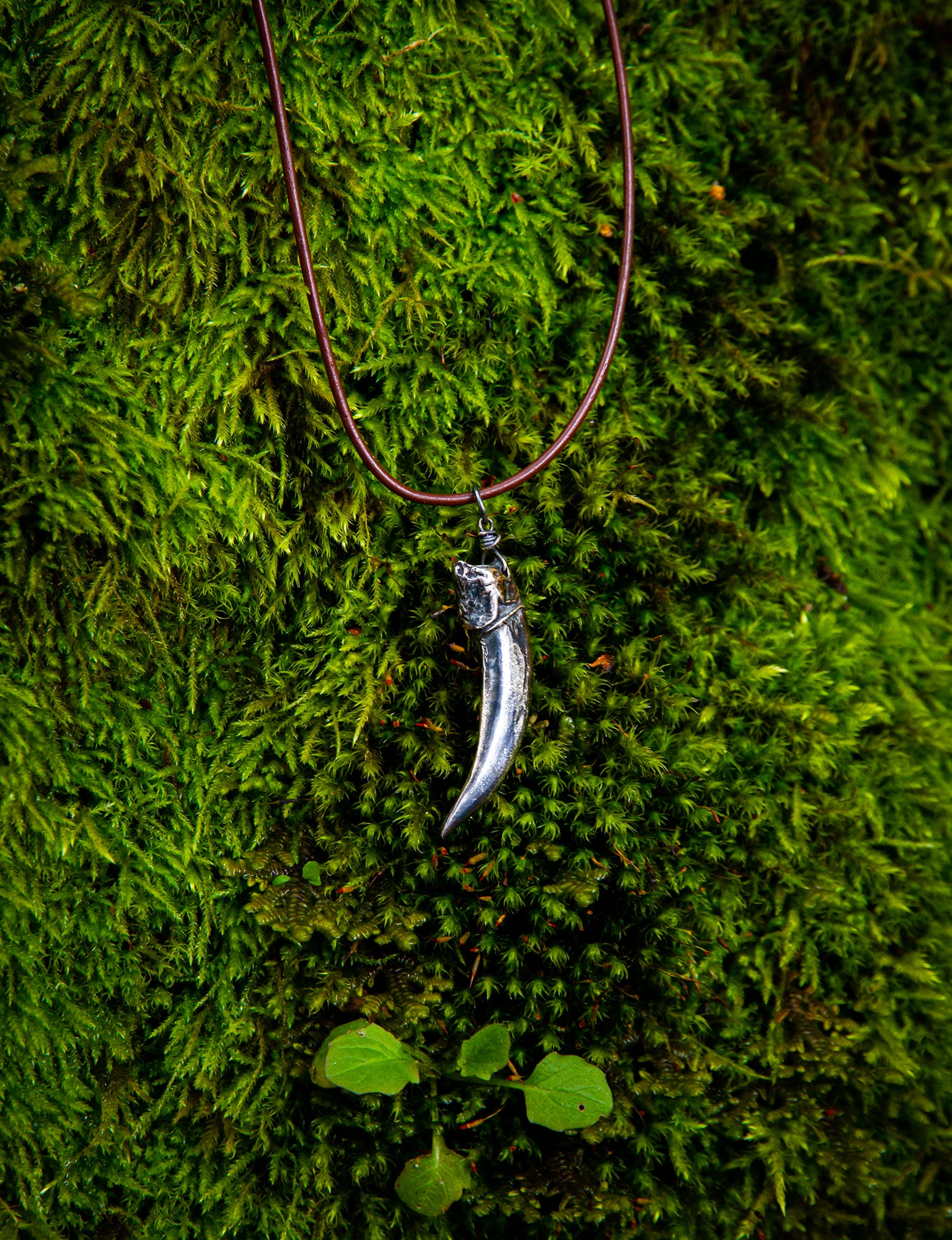 Silver badger claw pendant on brown necklace cord on a lush bed of moss.