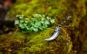 Silver badger claw pendant on brown necklace cord on mossy tree log.