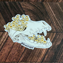 Load image into Gallery viewer, Die cut sticker of a cream colored coyote skull with honey fungus growing out of its eye cavity and open jaw.