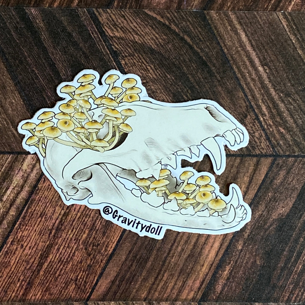 Die cut sticker of a cream colored coyote skull with honey fungus growing out of its eye cavity and open jaw.