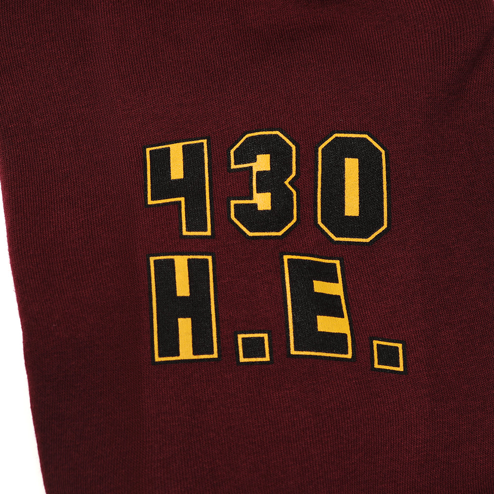 Arm detail of dark red Faithful varsity sweatshirt. Decal reads: "430 H.E.."