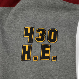 Grey arm detail of Faithful varsity zip up hoodie. Decal reads: "430 H.E.."