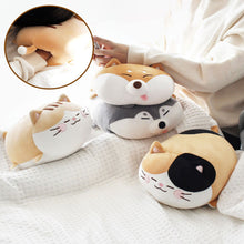 Load image into Gallery viewer, Model rests in bed with pile of Mochi Nap Time cushions - two shibas and two cats. 